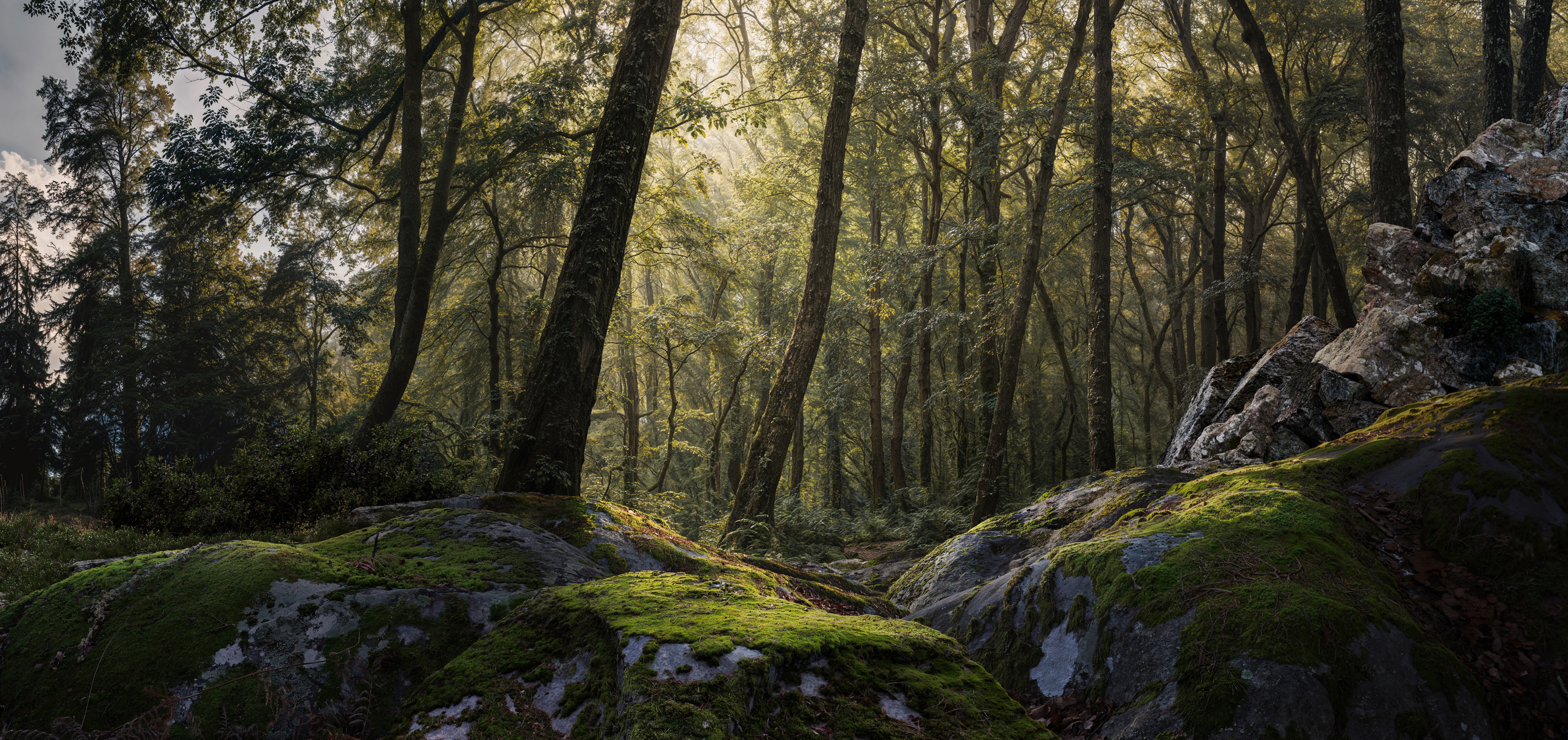 Digital Matte Painting Key Visual Peugeot Pathé Forêt